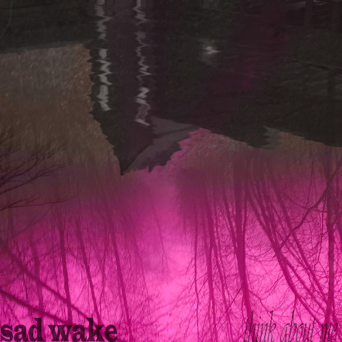 think about me (prod. sad wake)