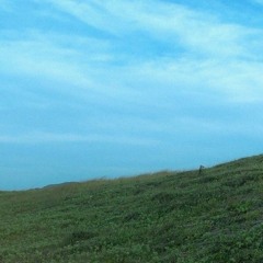 에크루 ecru - 파도