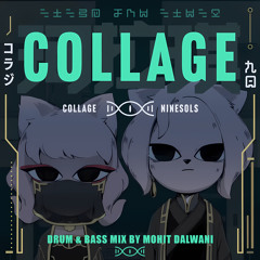 珂拉琪 Collage - 九日 Nine Sols - Mohit Dalwani Remix