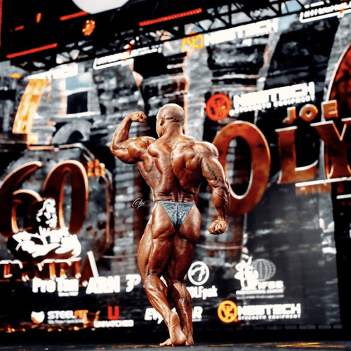 HIS PAIN YOUR GAIN x METROFLEX x FAME x MSLITERATE