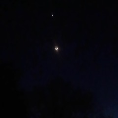 Never Ending Night