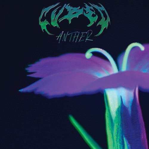 ANTHER