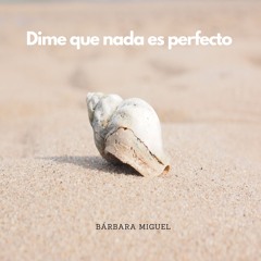 Dime que nada es perfecto