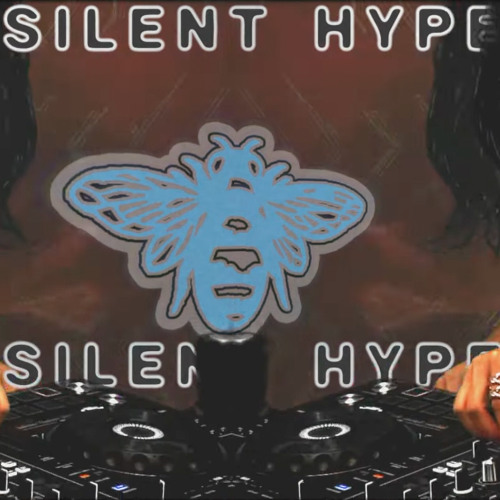 Silent Hype LIVE on stankbugz radio!