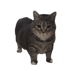 01 4 by 4 beats x pump this party