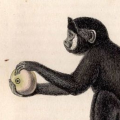 bound202 (prod. flip!)