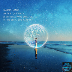 After the Rain (D. Diggler Remix)