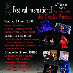 RFL101 Jazz Feeling Festival Des Cordes Pincees 2023 Eric Petry - Thierry Flammant