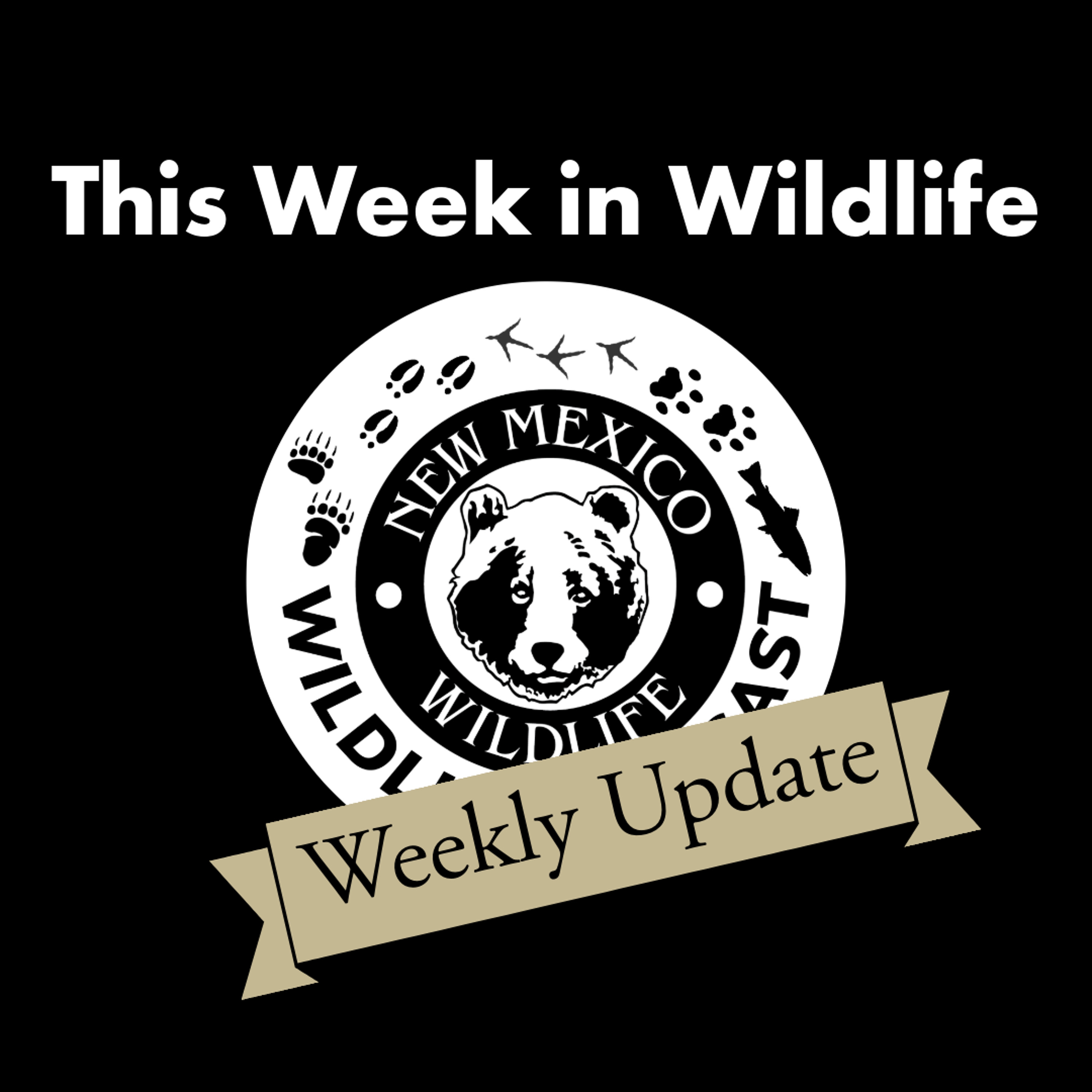 This Week in Wildlife week 28 - 7/10/2026 episode artwork
