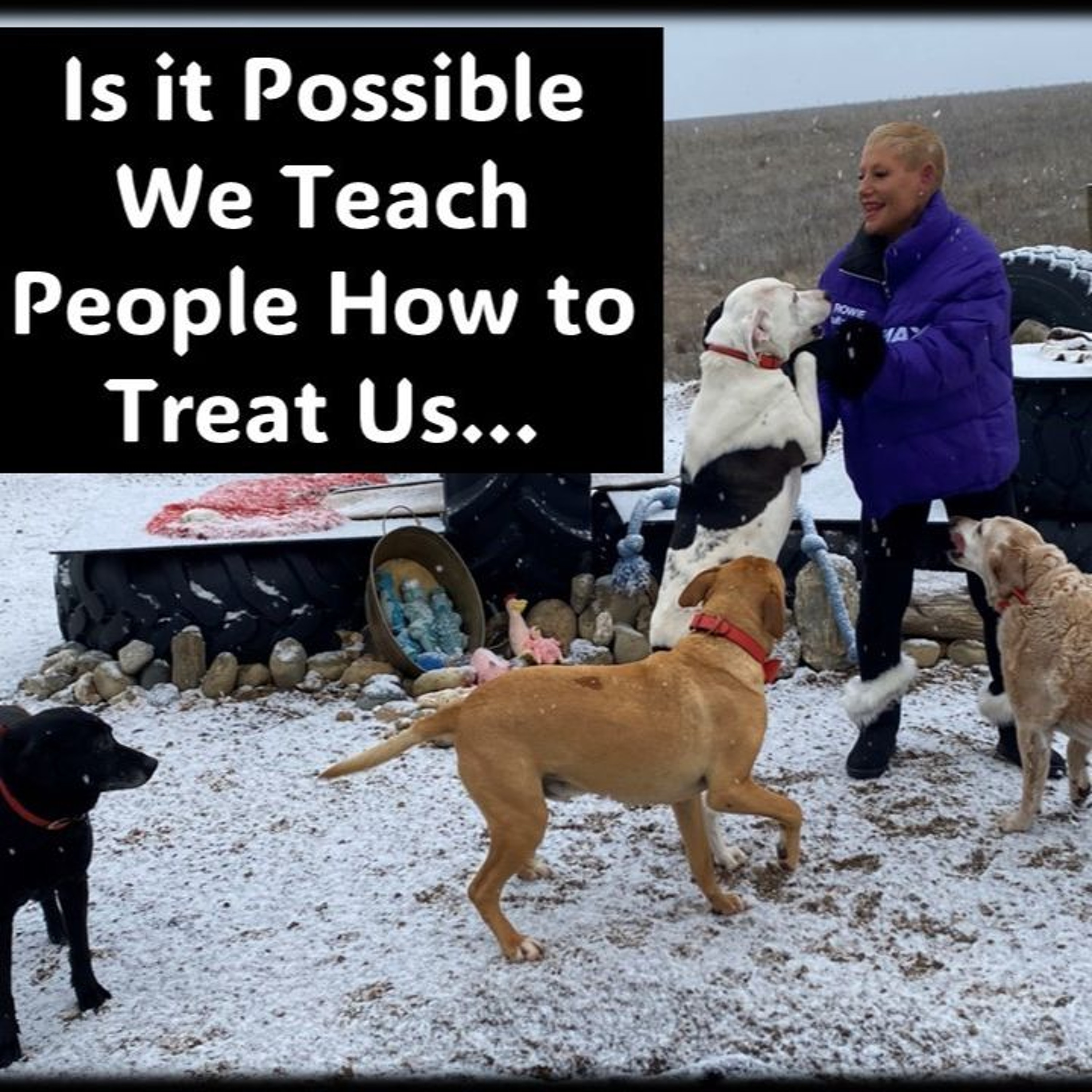 People…Is It Possible They Treat Us The Way We Teach Them To...with Rowie McEvoy