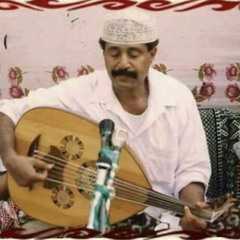 فيصل علوي هي الليل