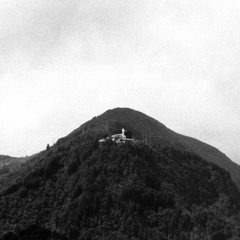 Juego Selvático