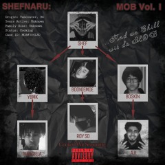 Ride N Shoot (Shiesty Shiesty)