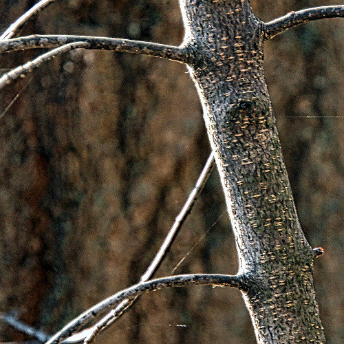 Keening on keeping on