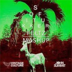 Vintage Culture , John Summit , Sofi Tukker - Drinkee 2021 X Losing It X Praise You (FELTZ MASHUP)