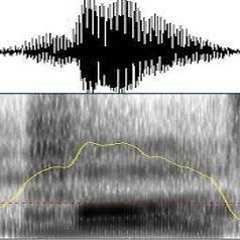 sound pattern study 6