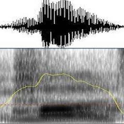 sound pattern study 6