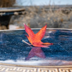 Domenick DeGeorge - Love Me Still (unreleased mix)