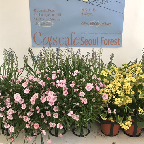 묘해 너와 - 마석태 (출처:유튜브 (마석태))