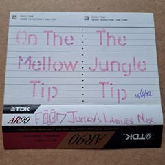 Food Junky - Ladies Mix - The Jungle Tip - 15th June 1992 - Side B