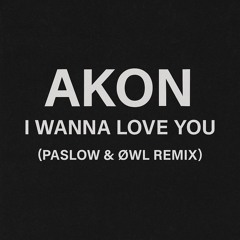 I Wanna Love You - AKON (PASLOW, ØWL Remix)
