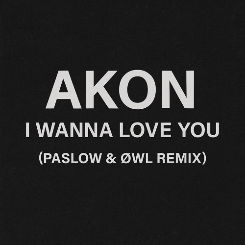 I Wanna Love You - AKON (PASLOW, ØWL Remix)