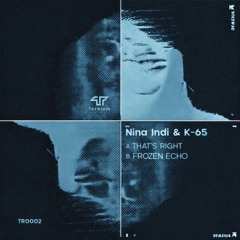 TR0002 - NIna Indi & K-65 - Frozen Echo EP - Show Reel