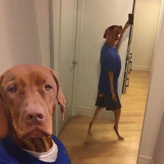 VAPO VAPO VUK VUK   QUER SE ENVOLVER COM ENVOLVIDO (PL Alves, Hollywood E DJ Fuinha)