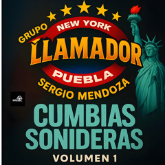 Volveras
