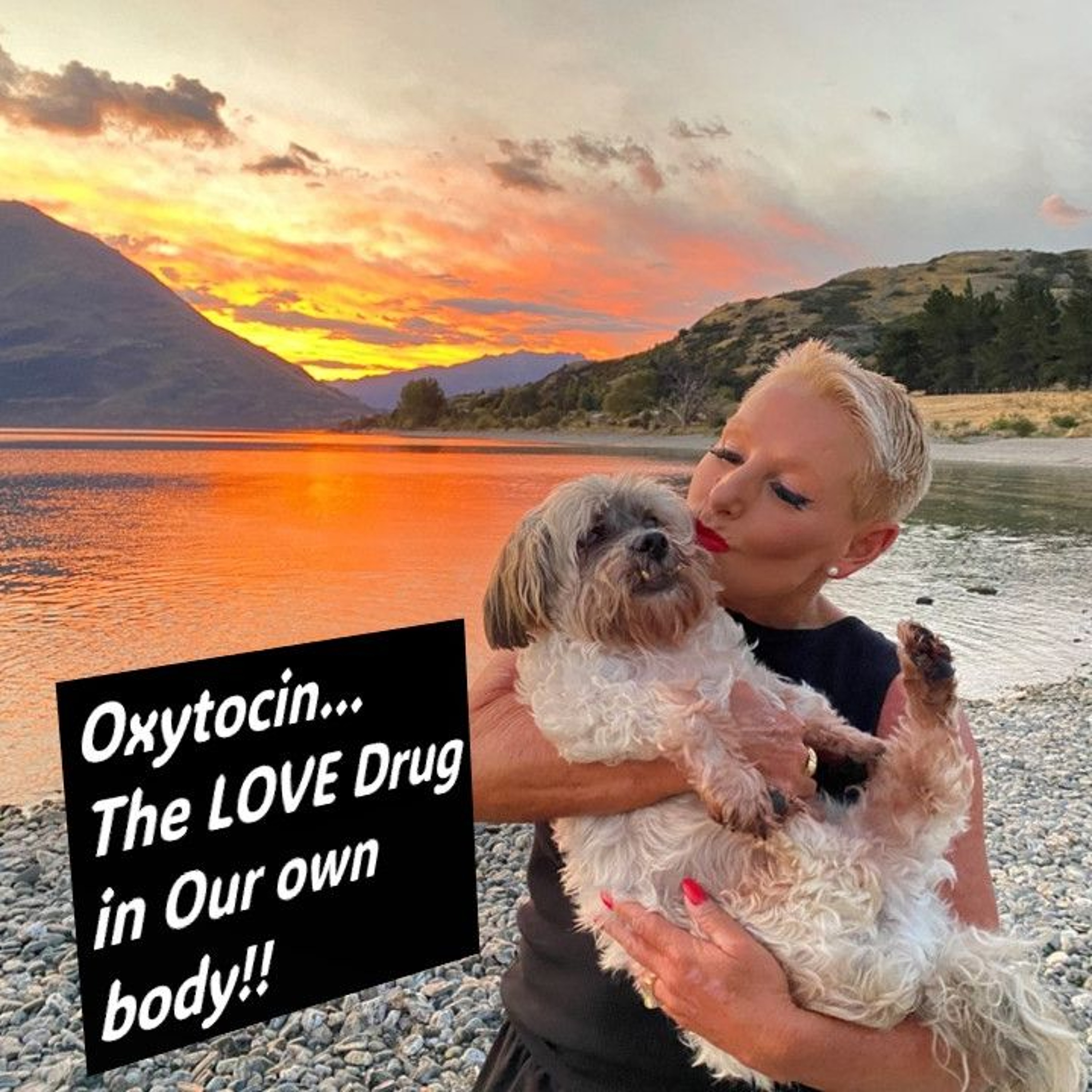 Toxic Family or People- why do we put up with them?