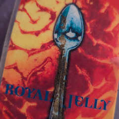 Ceiling Royal Jelly_1