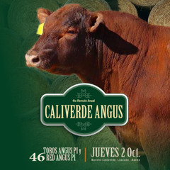 Ignacio Bonomi - Remate Caliverde