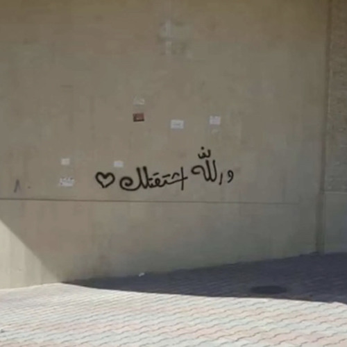 فاقد غالي | محسن ال مطارد