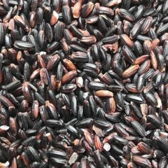 AlextreM - Black Rice