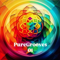 Tranzekno presents Pure Grooves 01