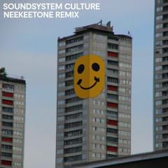 DJ Hybrid - Soundsystem Culture (Neekeetone Remix)