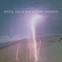 Nature Sound of Thunder, Ocean Waves and Seagulls