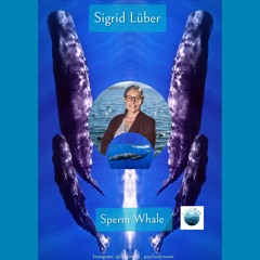 The Sperm Whale, with Sigrid Lueber, for Voices from the Ocean