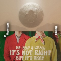 Zig Zag x It's Not Right - Alesso x Mr. Belt & Wezol (Tim Underscore Mashup)