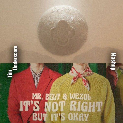 Zig Zag x It's Not Right - Alesso x Mr. Belt & Wezol (Tim Underscore Mashup)
