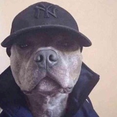 P.I.M.P. REMIX - Stewie Beats x TommyontheBeat