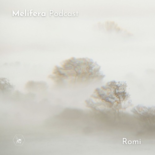 Melifera Podcast ⬡ Romi