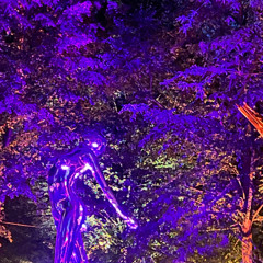 never leave you alone