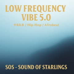 Low Frequency Vibe 5.0 #R&B Hip-Hop Afrobeat