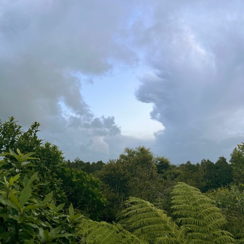 DC feat. the samples of Marcus Fischer - disquiet0600