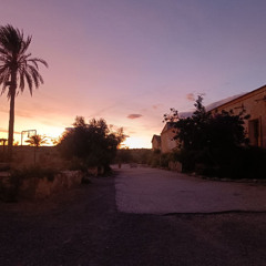 SESION VINILO FINCA EL REBOLLEDO DIC 2025