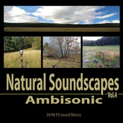 NATURAL SOUNDSCAPES VOL 4 – AMBISONIC - FX library preview