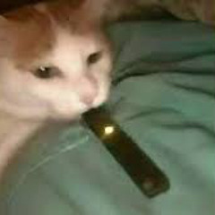 jealous x smells like teen spirit [sped up]