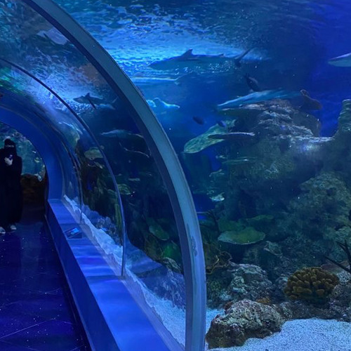 aquatic ambience (hexd)