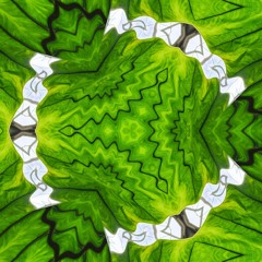 Citradelic